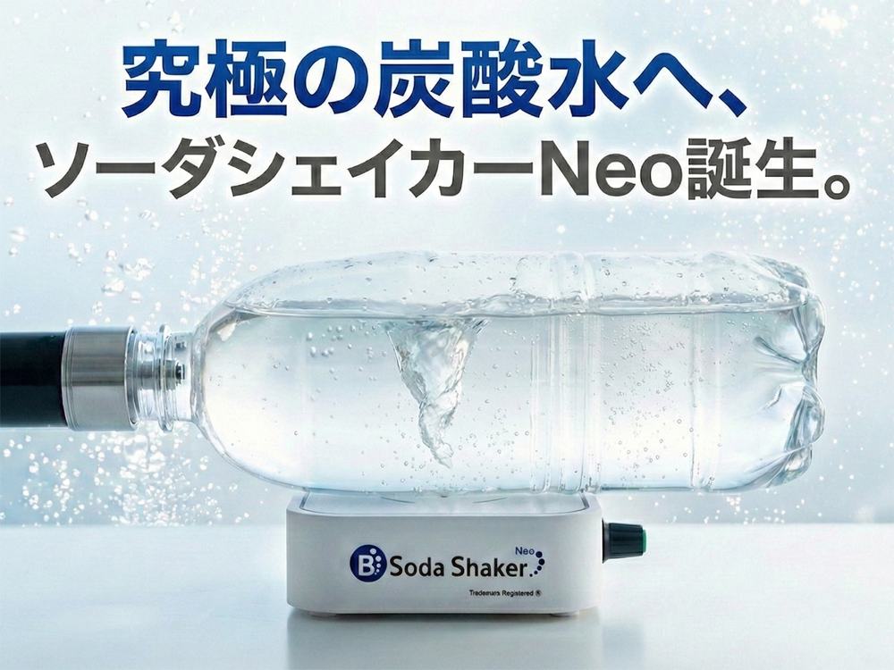 �ƒ�p�Y�_�����[�J�[�u�N�ł��Y�_��Bee�^���v